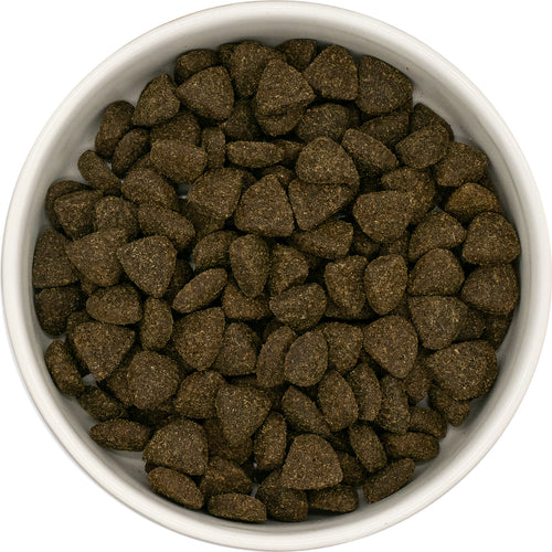 CORDERO DE PASTO CON MENTA, GRANADA, MORA, BROCOLI E HINOJO.