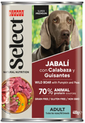 Jabalí con Calabaza